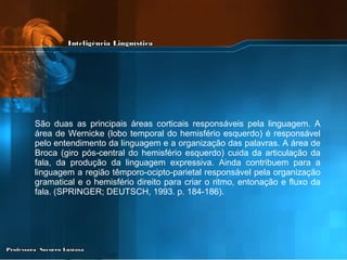 São duas as principais áreas corticais responsáveis pela linguagem. A área de Wernicke (lobo temporal do hemisfério esquerdo) é responsável pelo entendimento da linguagem e a organização das palavras. A área de Broca (giro pós-central do hemisfério esquerdo) cuida da articulação da fala, da produção da linguagem expressiva. Ainda contribuem para a linguagem a região têmporo-ocipto-parietal responsável pela organização gramatical e o hemisfério direito para criar o ritmo, entonação e fluxo da fala. (SPRINGER; DEUTSCH, 1993. p. 184-186). 