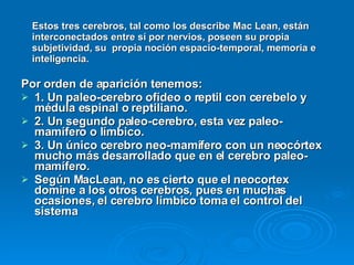 Estos tres cerebros, tal como los describe Mac Lean, están  interconectados entre sí por nervios, poseen su propia subjetividad, su  propia noción espacio-temporal, memoria e inteligencia. Por orden de aparición tenemos: 1. Un paleo-cerebro ofídeo o reptil con cerebelo y médula espinal o reptiliano. 2. Un segundo paleo-cerebro, esta vez paleo-mamífero o límbico. 3. Un único cerebro neo-mamífero con un neocórtex mucho más desarrollado que en el cerebro paleo-mamífero. Según MacLean, no es cierto que el neocortex domine a los otros cerebros, pues en muchas ocasiones, el cerebro límbico toma el control del sistema 