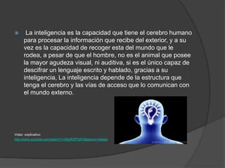      La inteligencia es la capacidad que tiene el cerebro humano
     para procesar la información que recibe del exterior, y a su
     vez es la capacidad de recoger esta del mundo que le
     rodea, a pesar de que el hombre, no es el animal que posee
     la mayor agudeza visual, ni auditiva, si es el único capaz de
     descifrar un lenguaje escrito y hablado, gracias a su
     inteligencia, La inteligencia depende de la estructura que
     tenga el cerebro y las vías de acceso que lo comunican con
     el mundo externo.




Video explicativo:
http://www.youtube.com/watch?v=0SeR3PFjlfY&feature=related
 