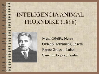 INTELIGENCIAANIMAL
THORNDIKE (1898)
Mesa Güelfo, Nerea
Oviedo Hérnandez, Josefa
Ponce Grosso, Isabel
Sánchez López, Emilia
 