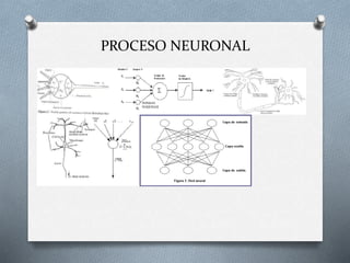 PROCESO NEURONAL
 