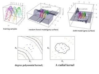 A radial kerneldegree polynomial kernel;
 