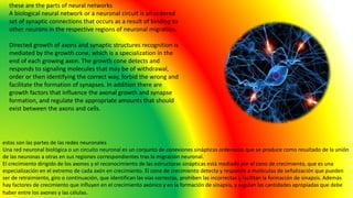 these are the parts of neural networks
A biological neural network or a neuronal circuit is an ordered
set of synaptic connections that occurs as a result of binding to
other neurons in the respective regions of neuronal migration.
Directed growth of axons and synaptic structures recognition is
mediated by the growth cone, which is a specialization in the
end of each growing axon. The growth cone detects and
responds to signaling molecules that may be of withdrawal,
order or then identifying the correct way, forbid the wrong and
facilitate the formation of synapses. In addition there are
growth factors that influence the axonal growth and synapse
formation, and regulate the appropriate amounts that should
exist between the axons and cells.
estas son las partes de las redes neuronales
Una red neuronal biológica o un circuito neuronal es un conjunto de conexiones sinápticas ordenadas que se produce como resultado de la unión
de las neuronas a otras en sus regiones correspondientes tras la migración neuronal.
El crecimiento dirigido de los axones y el reconocimiento de las estructuras sinápticas está mediado por el cono de crecimiento, que es una
especialización en el extremo de cada axón en crecimiento. El cono de crecimiento detecta y responde a moléculas de señalización que pueden
ser de retraimiento, giro o continuación, que identifican las vías correctas, prohíben las incorrectas y facilitan la formación de sinapsis. Además
hay factores de crecimiento que influyen en el crecimiento axónico y en la formación de sinapsis, y regulan las cantidades apropiadas que debe
haber entre los axones y las células.
 