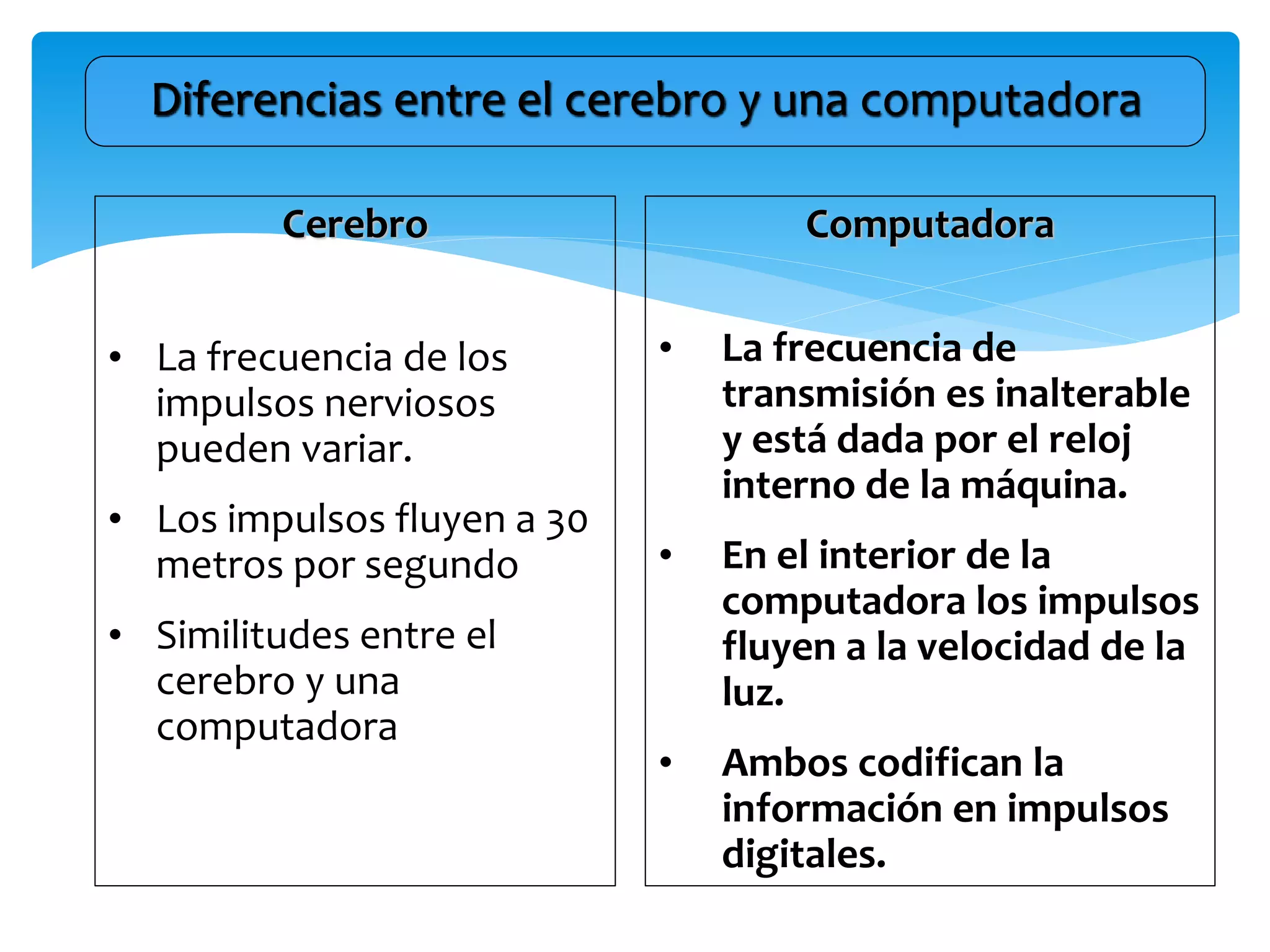 Cerebro
• La frecuencia de los
impulsos nerviosos
pueden variar.
• Los impulsos fluyen a 30
metros por segundo
• Similitudes entre el
cerebro y una
computadora
Computadora
• La frecuencia de
transmisión es inalterable
y está dada por el reloj
interno de la máquina.
• En el interior de la
computadora los impulsos
fluyen a la velocidad de la
luz.
• Ambos codifican la
información en impulsos
digitales.
Diferencias entre el cerebro y una computadora
 