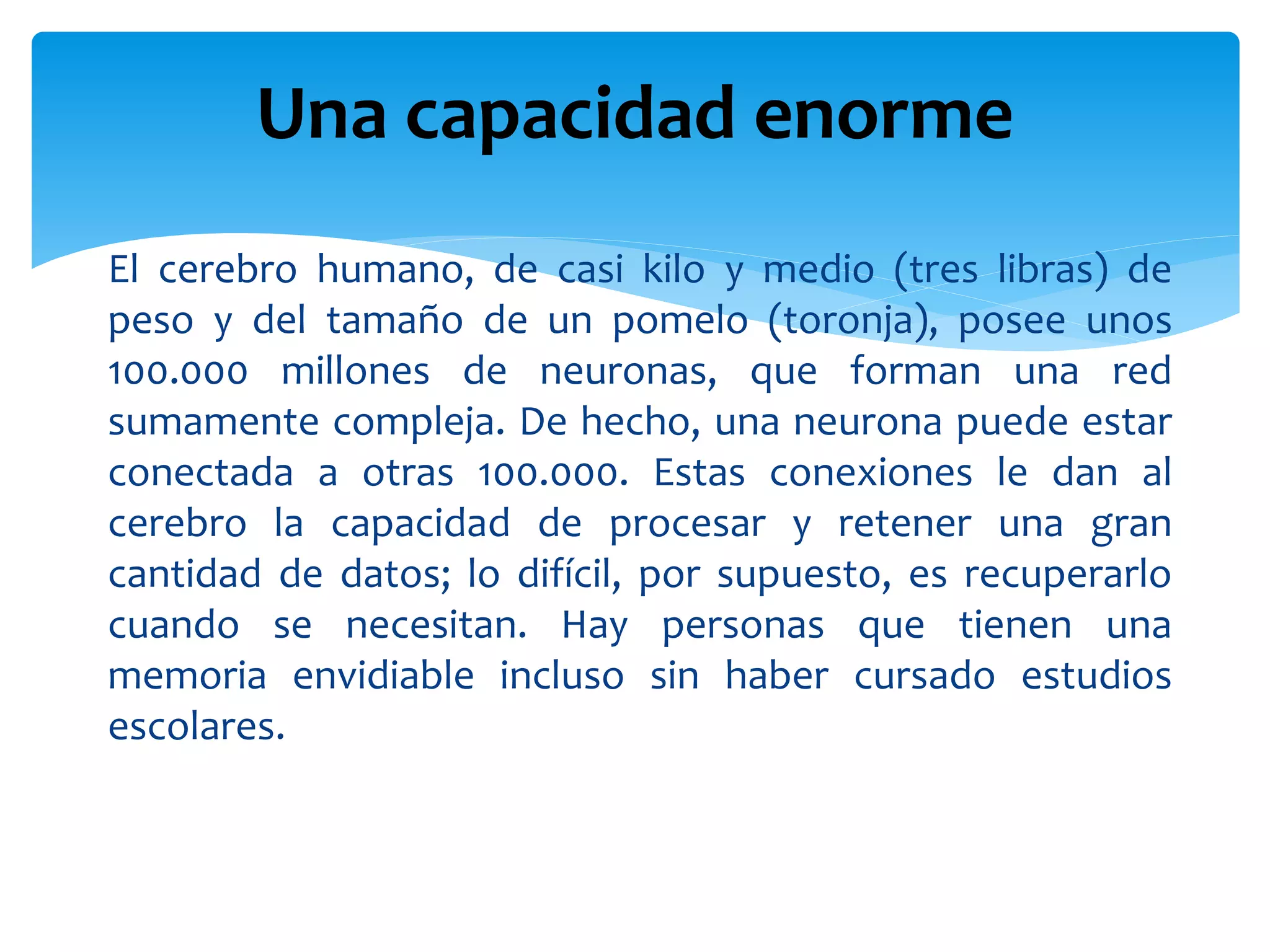 El cerebro humano, de casi kilo y medio (tres libras) de
peso y del tamaño de un pomelo (toronja), posee unos
100.000 millones de neuronas, que forman una red
sumamente compleja. De hecho, una neurona puede estar
conectada a otras 100.000. Estas conexiones le dan al
cerebro la capacidad de procesar y retener una gran
cantidad de datos; lo difícil, por supuesto, es recuperarlo
cuando se necesitan. Hay personas que tienen una
memoria envidiable incluso sin haber cursado estudios
escolares.
Una capacidad enorme
 