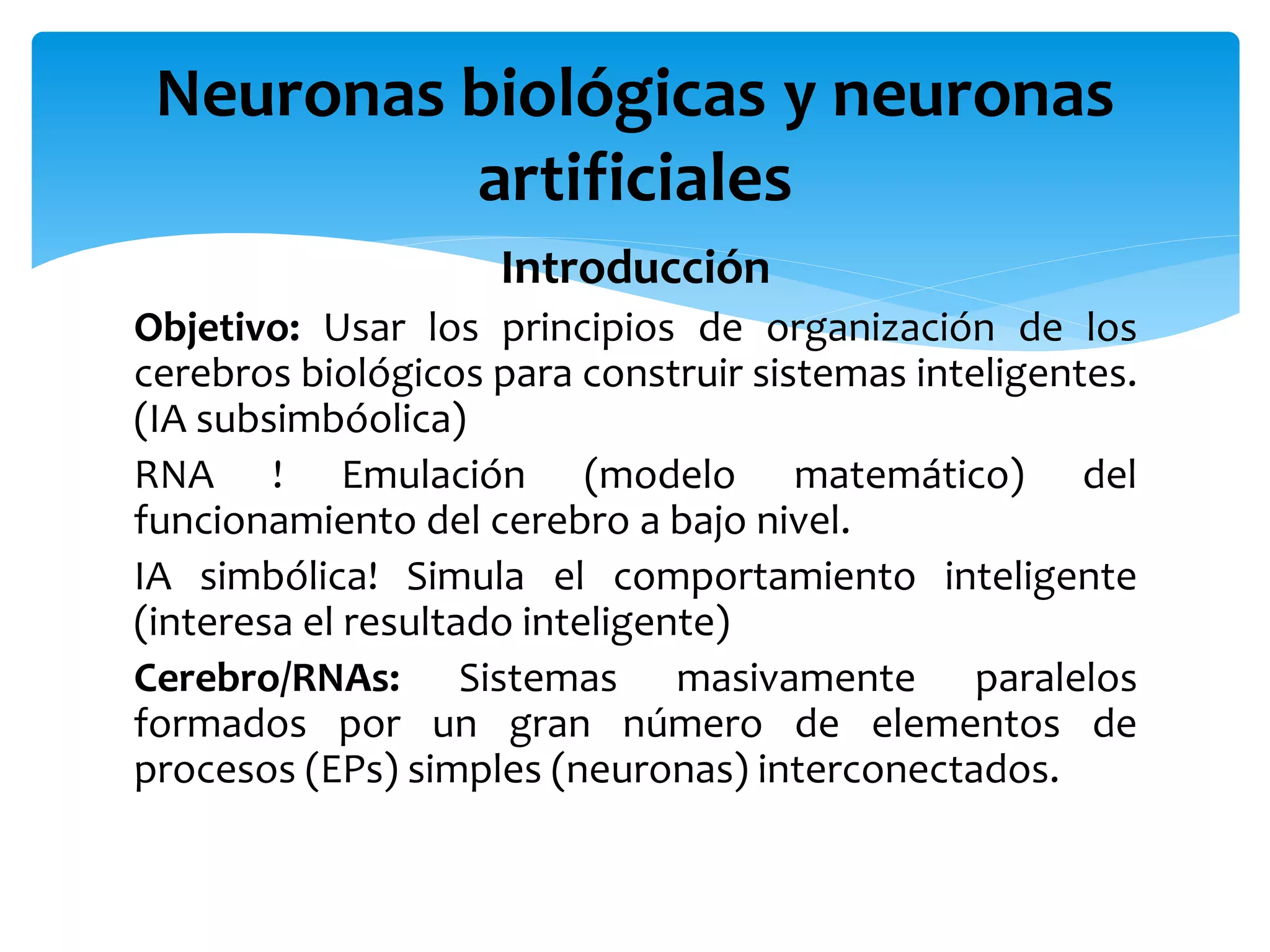 Introducción
Objetivo: Usar los principios de organización de los
cerebros biológicos para construir sistemas inteligentes.
(IA subsimbóolica)
RNA ! Emulación (modelo matemático) del
funcionamiento del cerebro a bajo nivel.
IA simbólica! Simula el comportamiento inteligente
(interesa el resultado inteligente)
Cerebro/RNAs: Sistemas masivamente paralelos
formados por un gran número de elementos de
procesos (EPs) simples (neuronas) interconectados.
Neuronas biológicas y neuronas
artificiales
 