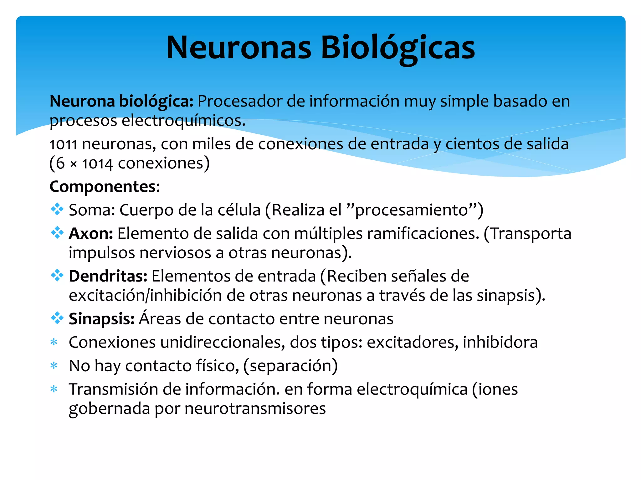 Neurona biológica: Procesador de información muy simple basado en
procesos electroquímicos.
1011 neuronas, con miles de conexiones de entrada y cientos de salida
(6 × 1014 conexiones)
Componentes:
 Soma: Cuerpo de la célula (Realiza el ”procesamiento”)
 Axon: Elemento de salida con múltiples ramificaciones. (Transporta
impulsos nerviosos a otras neuronas).
 Dendritas: Elementos de entrada (Reciben señales de
excitación/inhibición de otras neuronas a través de las sinapsis).
 Sinapsis: Áreas de contacto entre neuronas
 Conexiones unidireccionales, dos tipos: excitadores, inhibidora
 No hay contacto físico, (separación)
 Transmisión de información. en forma electroquímica (iones
gobernada por neurotransmisores
Neuronas Biológicas
 