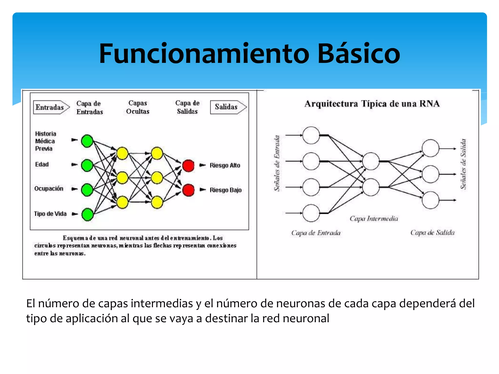Funcionamiento Básico
El número de capas intermedias y el número de neuronas de cada capa dependerá del
tipo de aplicación al que se vaya a destinar la red neuronal
 