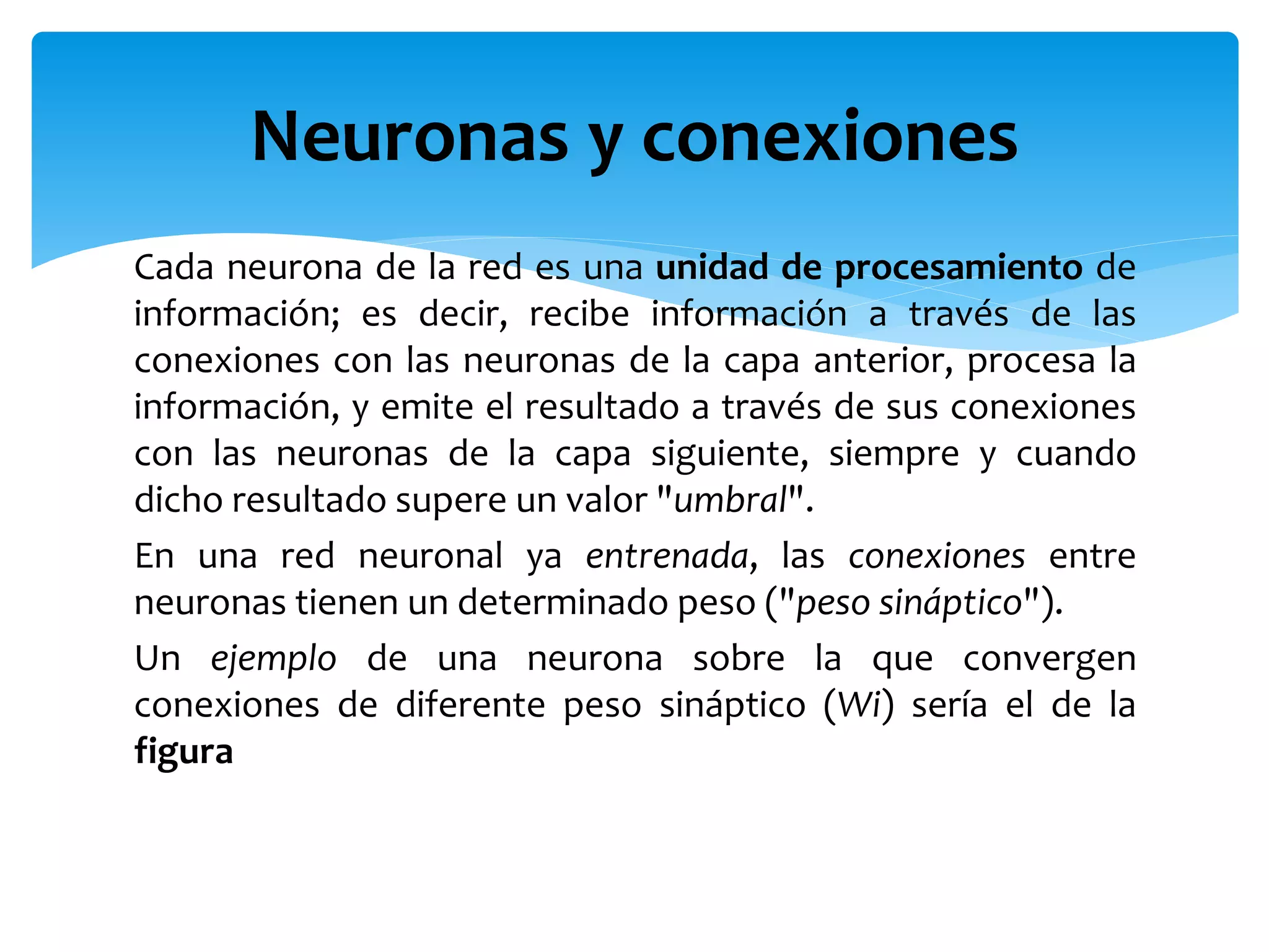 Cada neurona de la red es una unidad de procesamiento de
información; es decir, recibe información a través de las
conexiones con las neuronas de la capa anterior, procesa la
información, y emite el resultado a través de sus conexiones
con las neuronas de la capa siguiente, siempre y cuando
dicho resultado supere un valor "umbral".
En una red neuronal ya entrenada, las conexiones entre
neuronas tienen un determinado peso ("peso sináptico").
Un ejemplo de una neurona sobre la que convergen
conexiones de diferente peso sináptico (Wi) sería el de la
figura
Neuronas y conexiones
 