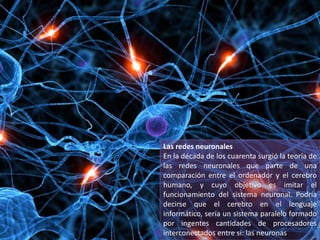 Las redes neuronales
En la década de los cuarenta surgió la teoría de
las redes neuronales que parte de una
comparación entre el ordenador y el cerebro
humano, y cuyo objetivo es imitar el
funcionamiento del sistema neuronal. Podría
decirse que el cerebro en el lenguaje
informático, sería un sistema paralelo formado
por ingentes cantidades de procesadores
interconectados entre si: las neuronas
 
