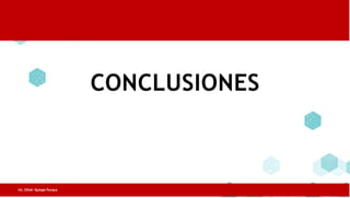 CONCLUSIONES
Lic. César Quispe Puraca
 
