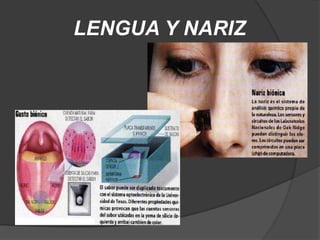 Ayudar a los expertos a analizar y diseñar. 