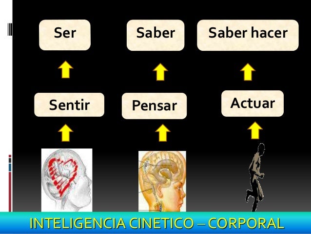 Inteligencia Cinetico Corporal