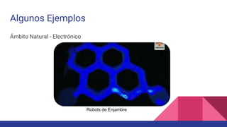 Algunos Ejemplos
Ámbito Natural - Electrónico
Robots de Enjambre
 