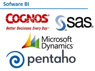 Sofware BI
 
