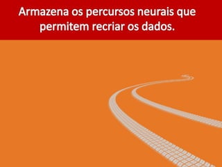 Inteligencia em concursos - Professor Pier.