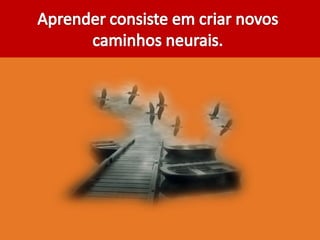 Inteligencia em concursos - Professor Pier.