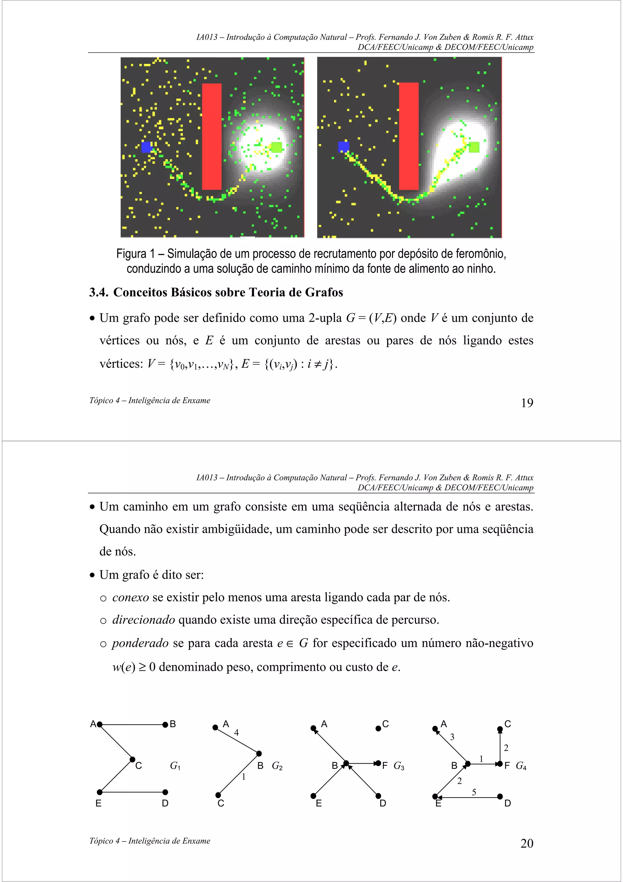 IA013 – Introdução à Computação Natural – Profs. Fernando J. Von Zuben & Romis R. F. Attux
DCA/FEEC/Unicamp & DECOM/FEEC/Unicamp
Tópico 4 – Inteligência de Enxame 19
Figura 1 – Simulação de um processo de recrutamento por depósito de feromônio,
conduzindo a uma solução de caminho mínimo da fonte de alimento ao ninho.
3.4. Conceitos Básicos sobre Teoria de Grafos
• Um grafo pode ser definido como uma 2-upla G = (V,E) onde V é um conjunto de
vértices ou nós, e E é um conjunto de arestas ou pares de nós ligando estes
vértices: V = {v0,v1,…,vN}, E = {(vi,vj) : i ≠ j}.
IA013 – Introdução à Computação Natural – Profs. Fernando J. Von Zuben & Romis R. F. Attux
DCA/FEEC/Unicamp & DECOM/FEEC/Unicamp
Tópico 4 – Inteligência de Enxame 20
• Um caminho em um grafo consiste em uma seqüência alternada de nós e arestas.
Quando não existir ambigüidade, um caminho pode ser descrito por uma seqüência
de nós.
• Um grafo é dito ser:
o conexo se existir pelo menos uma aresta ligando cada par de nós.
o direcionado quando existe uma direção específica de percurso.
o ponderado se para cada aresta e ∈ G for especificado um número não-negativo
w(e) ≥ 0 denominado peso, comprimento ou custo de e.
A B A A C A C
C G1 B G2 B F G3 B F G4
E D C E D E D
3
2
1
2
5
4
1
 