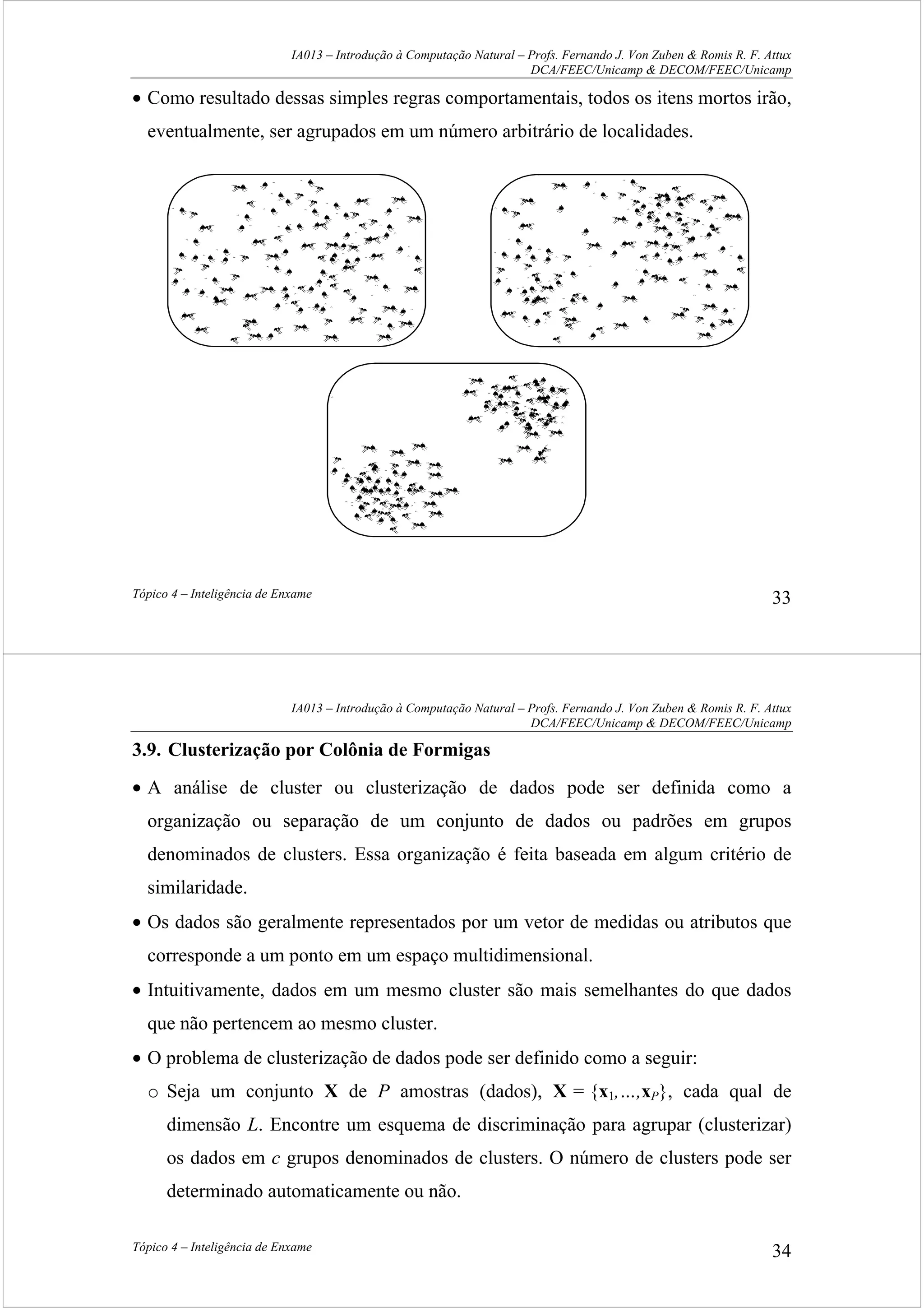 IA013 – Introdução à Computação Natural – Profs. Fernando J. Von Zuben & Romis R. F. Attux
DCA/FEEC/Unicamp & DECOM/FEEC/Unicamp
Tópico 4 – Inteligência de Enxame 33
• Como resultado dessas simples regras comportamentais, todos os itens mortos irão,
eventualmente, ser agrupados em um número arbitrário de localidades.
IA013 – Introdução à Computação Natural – Profs. Fernando J. Von Zuben & Romis R. F. Attux
DCA/FEEC/Unicamp & DECOM/FEEC/Unicamp
Tópico 4 – Inteligência de Enxame 34
3.9. Clusterização por Colônia de Formigas
• A análise de cluster ou clusterização de dados pode ser definida como a
organização ou separação de um conjunto de dados ou padrões em grupos
denominados de clusters. Essa organização é feita baseada em algum critério de
similaridade.
• Os dados são geralmente representados por um vetor de medidas ou atributos que
corresponde a um ponto em um espaço multidimensional.
• Intuitivamente, dados em um mesmo cluster são mais semelhantes do que dados
que não pertencem ao mesmo cluster.
• O problema de clusterização de dados pode ser definido como a seguir:
o Seja um conjunto X de P amostras (dados), X = {x1,…,xP}, cada qual de
dimensão L. Encontre um esquema de discriminação para agrupar (clusterizar)
os dados em c grupos denominados de clusters. O número de clusters pode ser
determinado automaticamente ou não.
 