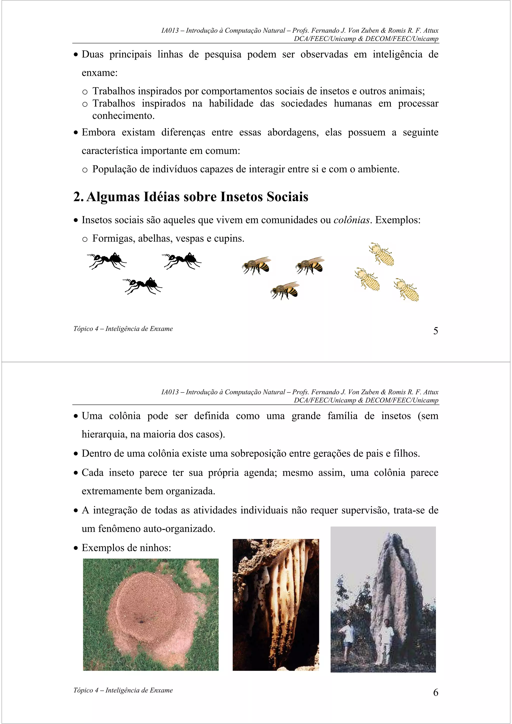 IA013 – Introdução à Computação Natural – Profs. Fernando J. Von Zuben & Romis R. F. Attux
DCA/FEEC/Unicamp & DECOM/FEEC/Unicamp
Tópico 4 – Inteligência de Enxame 5
• Duas principais linhas de pesquisa podem ser observadas em inteligência de
enxame:
o Trabalhos inspirados por comportamentos sociais de insetos e outros animais;
o Trabalhos inspirados na habilidade das sociedades humanas em processar
conhecimento.
• Embora existam diferenças entre essas abordagens, elas possuem a seguinte
característica importante em comum:
o População de indivíduos capazes de interagir entre si e com o ambiente.
2.Algumas Idéias sobre Insetos Sociais
• Insetos sociais são aqueles que vivem em comunidades ou colônias. Exemplos:
o Formigas, abelhas, vespas e cupins.
IA013 – Introdução à Computação Natural – Profs. Fernando J. Von Zuben & Romis R. F. Attux
DCA/FEEC/Unicamp & DECOM/FEEC/Unicamp
Tópico 4 – Inteligência de Enxame 6
• Uma colônia pode ser definida como uma grande família de insetos (sem
hierarquia, na maioria dos casos).
• Dentro de uma colônia existe uma sobreposição entre gerações de pais e filhos.
• Cada inseto parece ter sua própria agenda; mesmo assim, uma colônia parece
extremamente bem organizada.
• A integração de todas as atividades individuais não requer supervisão, trata-se de
um fenômeno auto-organizado.
• Exemplos de ninhos:
 