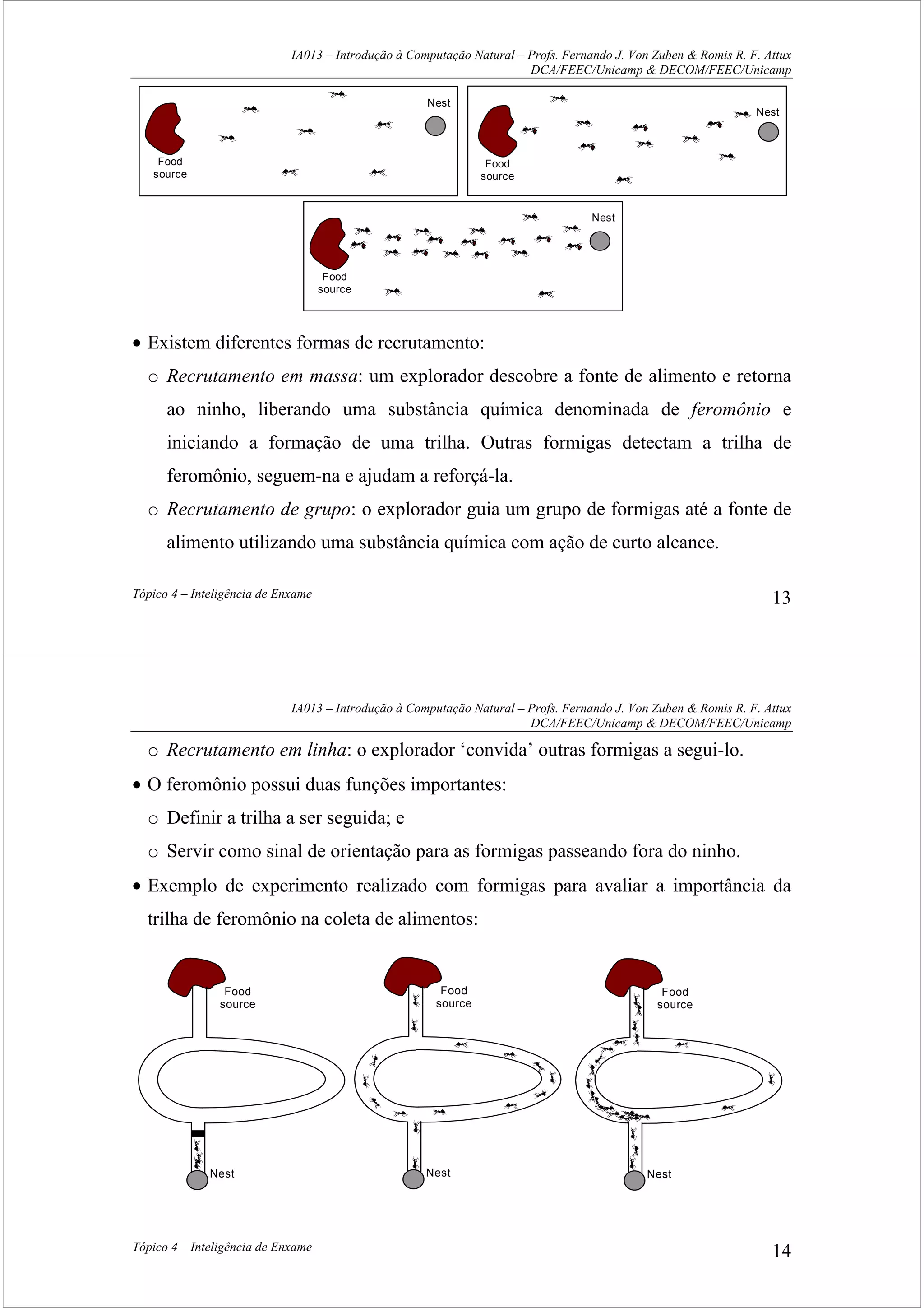 IA013 – Introdução à Computação Natural – Profs. Fernando J. Von Zuben & Romis R. F. Attux
DCA/FEEC/Unicamp & DECOM/FEEC/Unicamp
Tópico 4 – Inteligência de Enxame 13
Food
source
Nest
Food
source
Nest
Food
source
Nest
• Existem diferentes formas de recrutamento:
o Recrutamento em massa: um explorador descobre a fonte de alimento e retorna
ao ninho, liberando uma substância química denominada de feromônio e
iniciando a formação de uma trilha. Outras formigas detectam a trilha de
feromônio, seguem-na e ajudam a reforçá-la.
o Recrutamento de grupo: o explorador guia um grupo de formigas até a fonte de
alimento utilizando uma substância química com ação de curto alcance.
IA013 – Introdução à Computação Natural – Profs. Fernando J. Von Zuben & Romis R. F. Attux
DCA/FEEC/Unicamp & DECOM/FEEC/Unicamp
Tópico 4 – Inteligência de Enxame 14
o Recrutamento em linha: o explorador ‘convida’ outras formigas a segui-lo.
• O feromônio possui duas funções importantes:
o Definir a trilha a ser seguida; e
o Servir como sinal de orientação para as formigas passeando fora do ninho.
• Exemplo de experimento realizado com formigas para avaliar a importância da
trilha de feromônio na coleta de alimentos:
Food
source
Nest
Food
source
Nest
Food
source
Nest
 