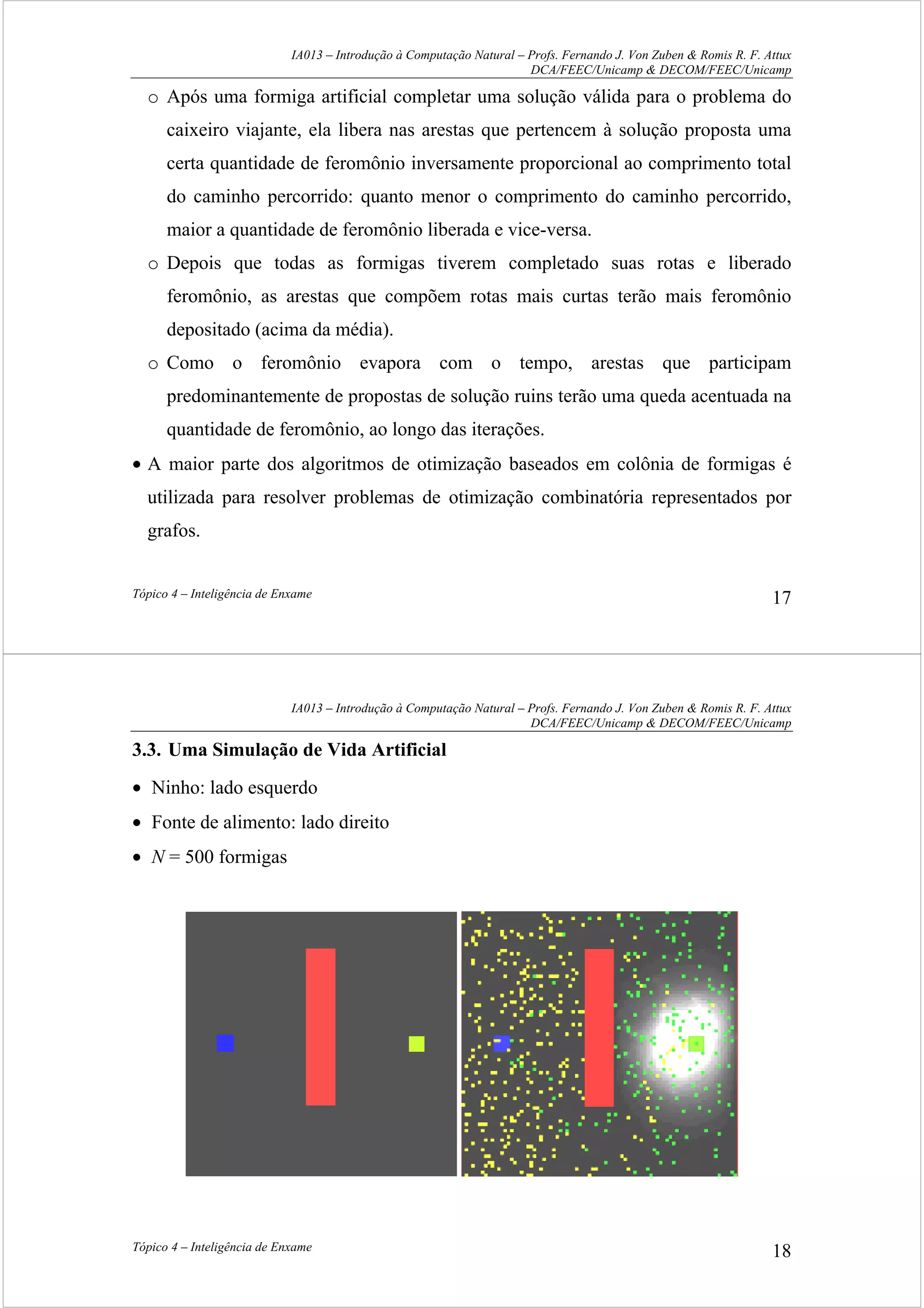 IA013 – Introdução à Computação Natural – Profs. Fernando J. Von Zuben & Romis R. F. Attux
DCA/FEEC/Unicamp & DECOM/FEEC/Unicamp
Tópico 4 – Inteligência de Enxame 17
o Após uma formiga artificial completar uma solução válida para o problema do
caixeiro viajante, ela libera nas arestas que pertencem à solução proposta uma
certa quantidade de feromônio inversamente proporcional ao comprimento total
do caminho percorrido: quanto menor o comprimento do caminho percorrido,
maior a quantidade de feromônio liberada e vice-versa.
o Depois que todas as formigas tiverem completado suas rotas e liberado
feromônio, as arestas que compõem rotas mais curtas terão mais feromônio
depositado (acima da média).
o Como o feromônio evapora com o tempo, arestas que participam
predominantemente de propostas de solução ruins terão uma queda acentuada na
quantidade de feromônio, ao longo das iterações.
• A maior parte dos algoritmos de otimização baseados em colônia de formigas é
utilizada para resolver problemas de otimização combinatória representados por
grafos.
IA013 – Introdução à Computação Natural – Profs. Fernando J. Von Zuben & Romis R. F. Attux
DCA/FEEC/Unicamp & DECOM/FEEC/Unicamp
Tópico 4 – Inteligência de Enxame 18
3.3. Uma Simulação de Vida Artificial
• Ninho: lado esquerdo
• Fonte de alimento: lado direito
• N = 500 formigas
 