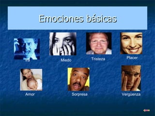 Emociones básicas Ira Miedo Tristeza Placer Amor Sorpresa Vergüenza 