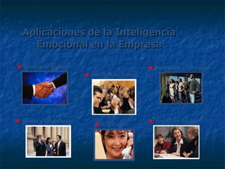 Aplicaciones de la Inteligencia Emocional en la Empresa Servicio al Cliente Motivación y Liderazgo Ventas y Negociación Trabajo en Equipo Atención de Público Call Center 