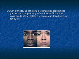 14. Con el miedo.- La sangre va a los músculos esqueléticos grandes como las piernas y así resulta más fácil huir, el rostro queda pálido, debido a la sangre que deja de circular por el, etc. 