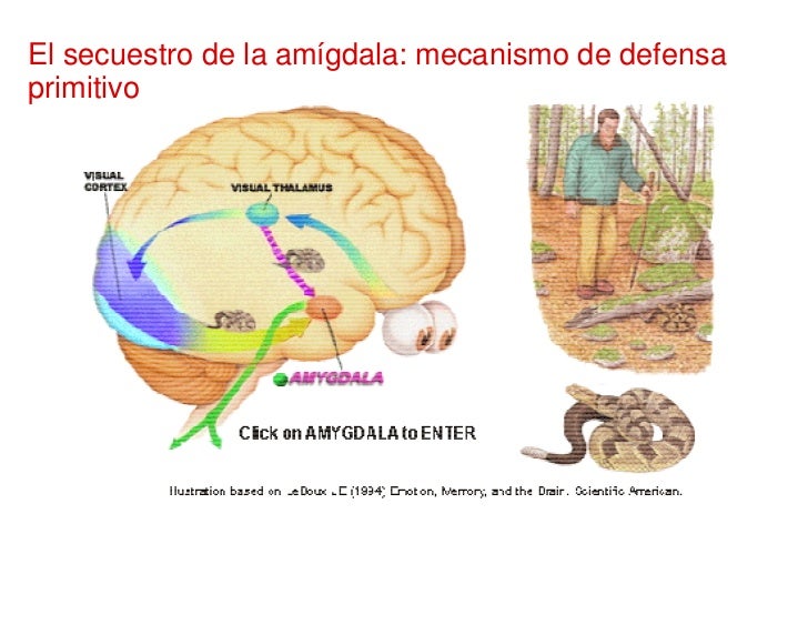 EOI Inteligencia Emocional EOI Inteligencia Emocional