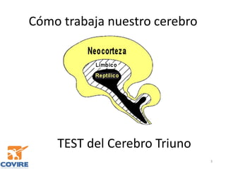 Cómo trabaja nuestro cerebro
3
TEST del Cerebro Triuno
 