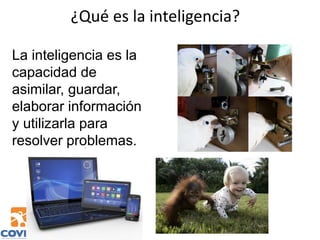 ¿Qué es la inteligencia?
La inteligencia es la
capacidad de
asimilar, guardar,
elaborar información
y utilizarla para
resolver problemas.
 