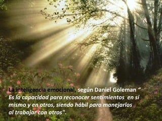 La inteligencia emocional,  según Daniel Goleman  “ Es la capacidad para reconocer sentimientos  en sí  mismo y en otros, siendo hábil para manejarlos  al trabajar con otros" . 