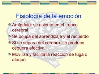 Fisiología de la emoción
Amígdala: se asienta en el tronco
cerebral
Se ocupa del aprendizaje y el recuerdo
Si se separa del cerebro se produce
ceguera afectiva
Moviliza y facilita la reacción de fuga o
ataque
 