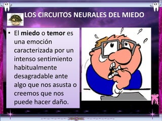LOS CIRCUITOS NEURALES DEL MIEDO

• El miedo o temor es
  una emoción
  caracterizada por un
  intenso sentimiento
  habitualmente
  desagradable ante
  algo que nos asusta o
  creemos que nos
  puede hacer daño.
 