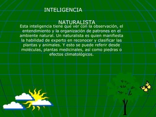 INTELIGENCIA
NATURALISTA

Esta inteligencia tiene que ver con la observación, el
entendimiento y la organización de patrones en el
ambiente natural. Un naturalista es quien manifiesta
la habilidad de experto en reconocer y clasificar las
plantas y animales. Y esto se puede referir desde
moléculas, plantas medicinales, así como piedras o
efectos climatológicos.

 
