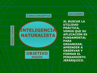 RESULTADOS

CONOCIMIENTOS

INTELIGENCIA
NATURALISTA

OBJETIVO
MISIÓN

ACCIONES

AL BUSCAR LA
UTILIDAD
PRÁCTICA,
VEMOS QUE SU
APLICACIÓN ES
FUNDAMENTAL
PARA
ORGANIZAR,
APRENDER A
OBSERVAR Y
FORMAR EL
PENSAMIENTO
JERÁRQUICO.

 