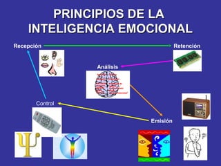 PRINCIPIOS DE LA
INTELIGENCIA EMOCIONAL
Recepción

Retención

Análisis

Control
Emisión

 