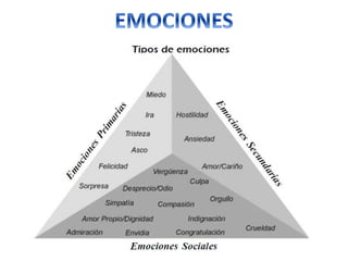 Guido Enrique Ceballos Huertas

Psicólogo y Licenciado en Informática

 