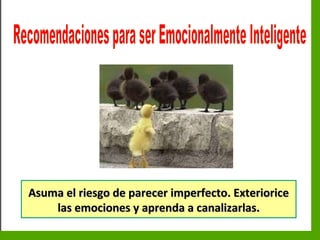 Inteligencia EmocionalInteligencia Emocional
Asuma el riesgo de parecer imperfecto. ExterioriceAsuma el riesgo de parecer imperfecto. Exteriorice
las emociones y aprenda a canalizarlas.las emociones y aprenda a canalizarlas.
 