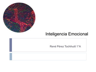 Inteligencia Emocional 
René Pérez Tochihuitl 1°A 
 