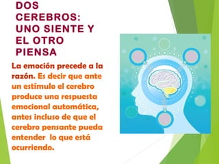 DOS
CEREBROS:
UNO SIENTE Y
EL OTRO
PIENSA
La emoción precede a la
razón. Es decir que ante
un estímulo el cerebro
produce una respuesta
emocional automática,
antes incluso de que el
cerebro pensante pueda
entender lo que está
ocurriendo.
 