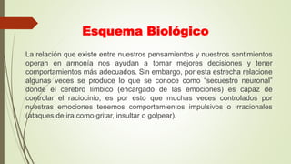 Esquema Biológico
La relación que existe entre nuestros pensamientos y nuestros sentimientos
operan en armonía nos ayudan a tomar mejores decisiones y tener
comportamientos más adecuados. Sin embargo, por esta estrecha relacione
algunas veces se produce lo que se conoce como “secuestro neuronal”
donde el cerebro límbico (encargado de las emociones) es capaz de
controlar el raciocinio, es por esto que muchas veces controlados por
nuestras emociones tenemos comportamientos impulsivos o irracionales
(ataques de ira como gritar, insultar o golpear).
 