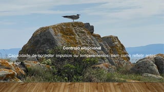 Teorias da Motivação – Implicações práticas para os lideres
Controlo emocional
Capacidade de controlar impulsos ou temperamentos, bem como refletir antes
de agir
 