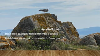 Teorias da Motivação – Implicações práticas para os lideres
Aptidão Social
Habilidade para gerir relacionamentos e grupos
Habilidades sociais são a dimensão do “eu organizo”.
 