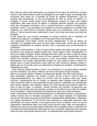 Meu salto da cama meio adormecido, que poderia ter-me salvo de ferimentos se fosse
mesmo o teto caindo ilustra o poder da amígdala de nos impelir à ação nas emergências,
momentos vitais antes de o neocórtex ter tempo de registrar plenamente o que na
verdade está acontecendo. A rota de emergência do olho ou ouvido ao tálamo e à
amígdala é crucial: poupa tempo numa emergência, quando se exige uma reação
instântanea. Mas esse circuito do tálamo à amígdala transmite apenas uma pequena
parte das mensagens sensoriais, com a maioria tomando o caminho principal até o
neocórtex. Assim, o que se registra na amígdala via essa rota expressa é, na melhor das
hipóteses, um sinal informe, suficiente apenas para uma advertência. Como observa
LeDoux, "não se precisa saber exatamente o que é uma coisa para saber que pode ser
perigosa''.
A rota direta tem uma enorme vantagem em tempo cerebral, que é calculado em
milésimos de segundo. A amígdala de um rato pode iniciar uma resposta .
uma percepção numa fração mínima de doze milissegundos. A rota do tálamo ao
neocórtex e à amígdala leva cerca de duas vezes esse tempo. Ainda não se fizeram
medições semelhantes no cérebro humano, mas a proporção gera provavelmente se
confirmaria.
Em termos evolucionários, o valor de sobrevivência dessa rota direta teria sido grande,
permitindo uma opção de resposta rápida que cortam alguns crítico milissegundos no
tempo de reação a perigos. Esses milissegundos bem poden ter salvo a vida de nossos
ancestrais protomamíferos em número tal que esquema é hoje característico de todo
cérebro de mamífero, incluindo os seus e o meu. Na verdade, embora esse circuito
desempenhe uma função relativamente limitada na vida mental humana, restrita em
grande parte a crises emocionais,a maior parte da vida mental de pássaros, peixes e
répteis gira em torno dele, pois sua sobrevivência depende de localizar constantemente
predadores ou presa.
- Esse sistema cerebral primitivo, menor, nos mamíferos, é o principal sistema cerebral
nos não mamíferos, diz LeDoux. Oferece um meio muito rápido de ligar emoções.
Mas é um processo rápido e malfeito: as células são rápidas, mas não muito precisas.
Essa imprecisão, digamos, num esquilo, é ótima, já que o leva a errar do lado de
segurança,afastando-se aos saltos ao primeiro sinal de qualquer coisa que possa
anunciar o aparecimento de um inimigo, ou saltando sobre qualquer sinal de alguma
coisa comestível. Mas na vida emocional humana pode ter conseqüên cias desastrosas
para nossas relações, pois significa, falando de modo figurado que podemos saltar em
cima ou fugir da coisa - ou pessoa - errada. (Pensenr por exemplo, na garçonete que
derrubou uma bandeja com seis jantares, quando viu de relance uma mulher de cabelos
ruivos ondulados - exatamente iguais aos daquela por quem seu marido a deixara).
Esses rudimentares erros emocionais baseiam-se no sentimento anterior a, pensamento.
LeDoux chama isso de "emoção precognitiva", uma reação baseada em fragmentos
neurais de informação sensorial que não foram completamente classificados e integrados
num objeto reconhecível. É uma forma muito grosseira de informação sensorial, meio
semelhante, em termos neurais, a um programa tipo, Qual é a Música, onde, em vez de
julgamentos instantâneos feitos com base numas poucas notas, toda uma percepção é
captada com base nas primeira partes indefinidas. Se a amígdala capta o surgimento de
um padrão sensorial importante, salta logo para uma conclusão, disparando suas reações
antes de haver confirmação total da prova - ou absolutamente confirmação nenhuma.
 