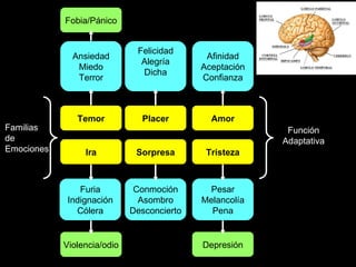 Ansiedad Miedo Terror Felicidad Alegría Dicha Afinidad Aceptación Confianza Ira Sorpresa Tristeza Temor Placer Amor Furia Indignación Cólera Conmoción Asombro Desconcierto Pesar Melancolía Pena Función Adaptativa Violencia/odio Depresión Fobia/Pánico Familias de  Emociones 