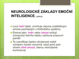  Levý čelní lalok: zmírňuje nejvíce zneklidňující
emoce pocházející z limbického systému.
 Emoce jako hněv nebo úzkost snižují
schopnost čelního laloku udržovat pracovní
paměť.
 To vysvětluje častou zkušenost nebýt
schopen myslet rozumně, když jsme pod
vlivem silné emoce, kterou nemůžeme
kontrolovat.
NEUROLOGICKÉ ZÁKLADY EMOČNÍ
INTELIGENCE. pokrac.
 