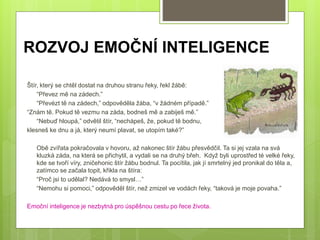 ROZVOJ EMOČNÍ INTELIGENCE
Štír, který se chtěl dostat na druhou stranu řeky, řekl žábě:
“Převez mě na zádech.”
“Převézt tě na zádech,” odpověděla žába, “v žádném případě.”
“Znám tě. Pokud tě vezmu na záda, bodneš mě a zabiješ mě.”
“Nebuď hloupá,” odvětil štír, “nechápeš, že, pokud tě bodnu,
klesneš ke dnu a já, který neumí plavat, se utopím také?”
Obě zvířata pokračovala v hovoru, až nakonec štír žábu přesvědčil. Ta si jej vzala na svá
kluzká záda, na která se přichytil, a vydali se na druhý břeh. Když byli uprostřed té velké řeky,
kde se tvoří víry, zničehonic štír žábu bodnul. Ta pocítila, jak jí smrtelný jed pronikal do těla a,
zatímco se začala topit, křikla na štíra:
“Proč jsi to udělal? Nedává to smysl…”
“Nemohu si pomoci,” odpověděl štír, než zmizel ve vodách řeky, “taková je moje povaha.”
Emoční inteligence je nezbytná pro úspěšnou cestu po řece života.
 