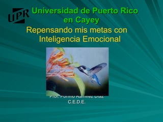 Universidad de Puerto Rico  en Cayey ,[object Object],[object Object],[object Object]
